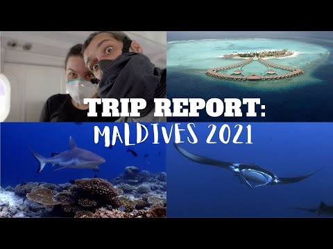 Diving the Maldives in 2021... (4K)