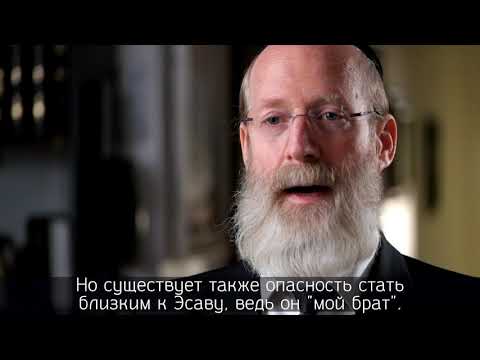 Недельная глава Ваишлах — Рав Моше Лебель