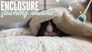 Guinea Pig Cage Cleaning Routine 2021