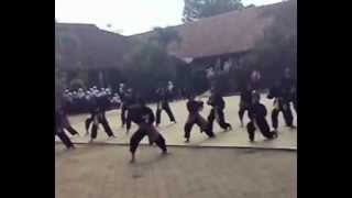 preview picture of video 'Galuh Pakuan silat tradisi'