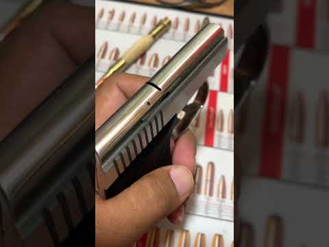 LW Seecamp .380 acp Problems with my favorite carry Gun