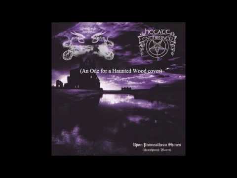 Immersed in Darkness - An Ode For A Haunted Wood (Hecate Enthroned cover)