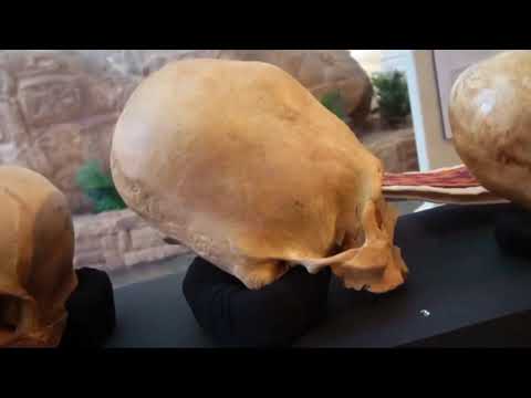 Cosmic Crusader ft Rasule Allah- Crystal Skull