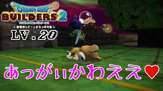 【DQB2】関係ないけど、あっがぃかわええ！ｗLv 20【実況】