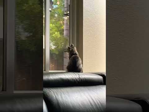 I really hope that she never disappears from MEEE!!