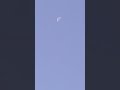 Morning Moon