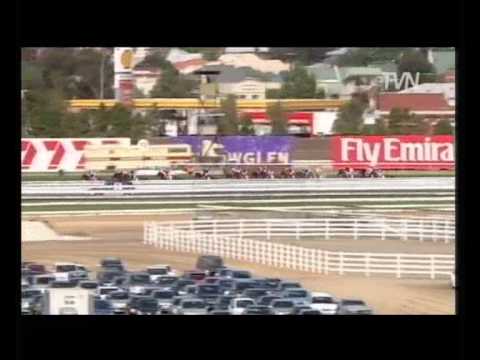 2008 Victoria Derby - Rebel Raider