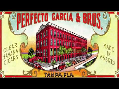 Bob Dylan 1993 US Fall Tour – Tampa USA 21st September 1993