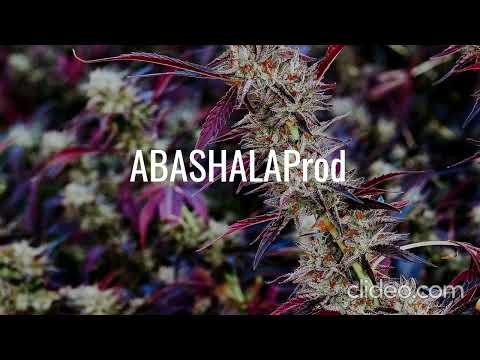 MCBOX x TLC - NO SCRUBS x DJ ZYÖM SLCC ALIYAH [ REMIX 2K22 ] REPOST