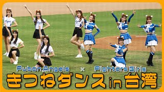 日本のきつねと台湾のきつねの競演🦊♥️  Fubon Angels × Fighters Girls  新莊棒球場  2024/6/16【台湾チアTV】