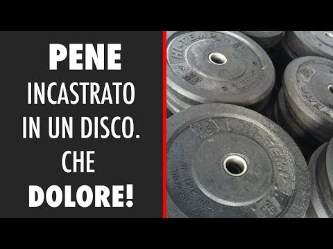 Eccitatore cavallo per il video lazione delle donne Il nome significa che eccita un uomo