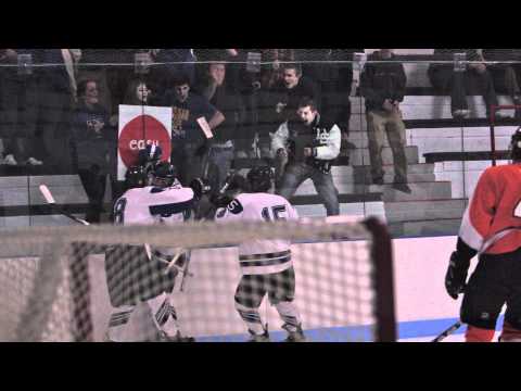 Ice Hockey Slovakia 2011 Nintendo DS
