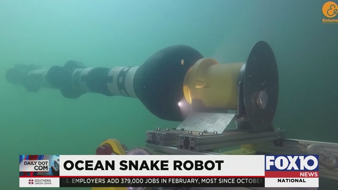 Daily Dot Com: Ocean Snake Robot