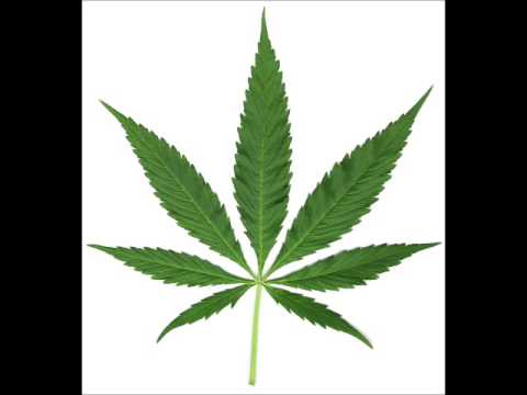 The Potfarmers- I`m so Fucking Stoned