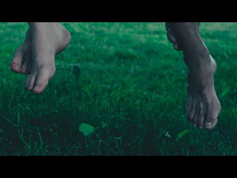 Wieczernik domowy #7 [Odpocznijcie nieco!]