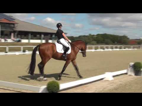 Valverde & Eva Möller - 2. WM-Sichtung 2019