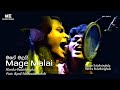 Mage Malai (මගේ මලයි) | Harsha Bulathsinghala & Ranil Mallawarachchi [Official Video]