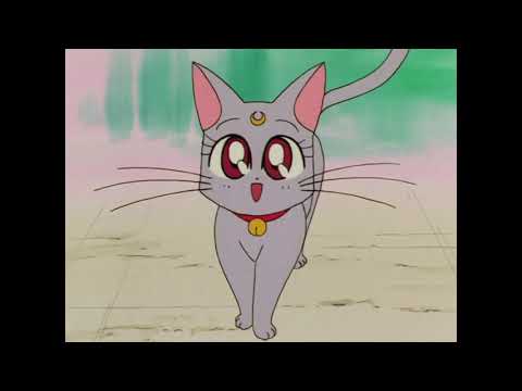 Diana es hija de Luna y Arthemis/Sailor Moon Super S