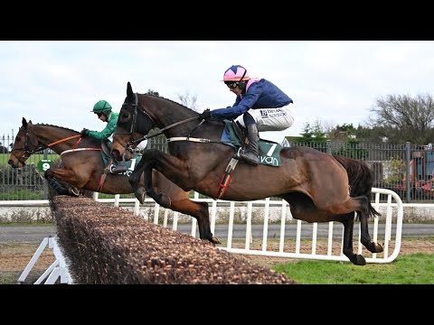 Kopek Des Bordes sparkles on chasing debut | Racing TV