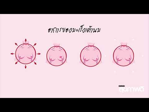 นวดเสริมเต้านม เพิ่มหน้าอกฉันมีสอง