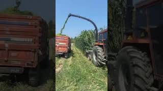Satılık Çelikel CHALLENGER II PLUS mısır silaj makinesi - Görüntü 13 | Agriline TR Yeni Çelikel CHALLENGER II PLUS mısır silaj makinesi | Görüntü 13 - Agriline