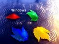 Клубняк от Windows Прикольно!!! 