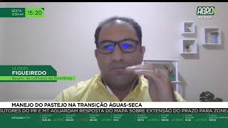 Miniatura do vídeo