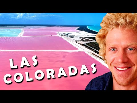 LAS COLORADAS (PINK LAKES) 2020 MEXICO
