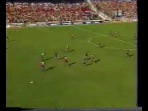 Gol de Martinez a Independiente (Boca 2-Independiente 2 06-03-1994)