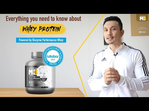 Everything You Need to Know about Whey protein |...