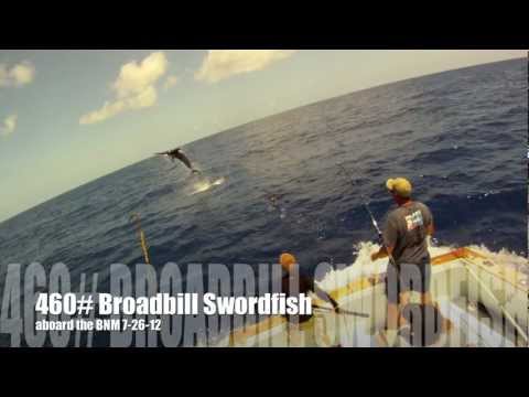 460# Broadbill Swordfish on the Bn'M