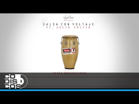 Julio Voltio - No Puedo Darte Amor | Audio