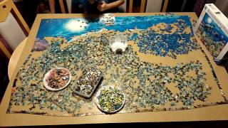 Ravensburger puzzle 5000 - Leben im Korallenriff ( Time lapse )
