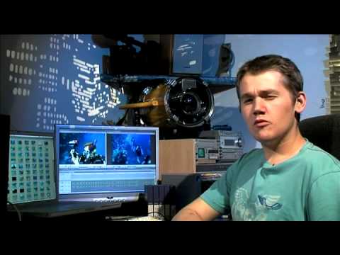 Island Reef Job application