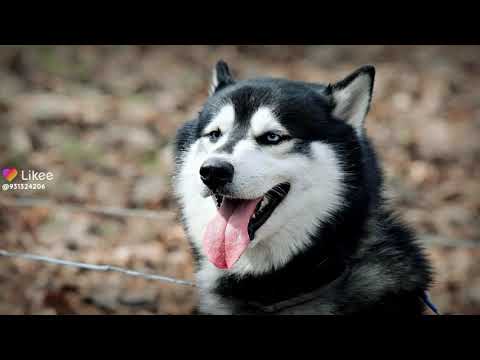 ٥ يوليو ٢٠٢٢