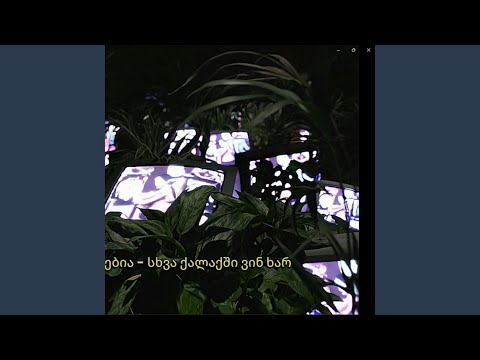 sxva qalaqshi mgvidzavs