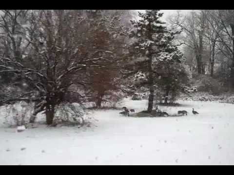 download lagu mp3 mp4 V A 2011 01 07, download mp3 V A 2011 01 07 free downloadn, video klip V A 2011 01 07