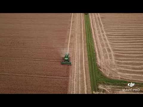 Die Weizenernte bei Bökendorf/Brakel/Kreis Höxter/ NRW😎🚜🚜🌾🌾