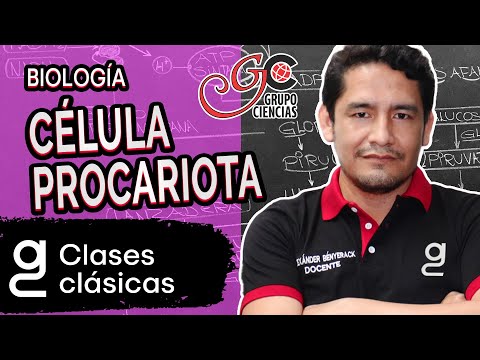 BIOLOGÍA - Célula procariota [ZOOM]