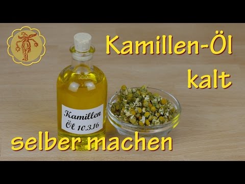 Kalten Kamillen-Ölauszug selber machen