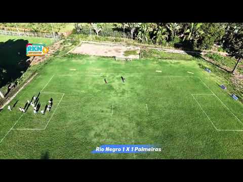 Arena Botafogo,  Rio Negro 1 X 1 Palmeiras