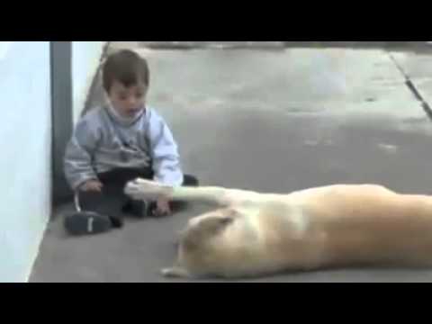 emotional....must watch!