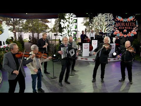 Benny Andersson & Orsa Spelmän – Födelsedagsvals Till Mona (Live "Moraeus Med Mera")