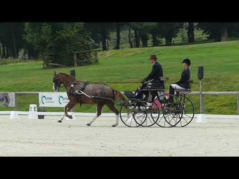 GRUNDMANN Niels, GER,, FEI WCH Ponies, Le Pin au Haras, FRA, Single, Part of Dressage