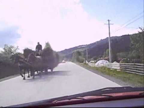 Vatra Dornei, Gura Negri, Plaiul Sarului, Saru Dornei