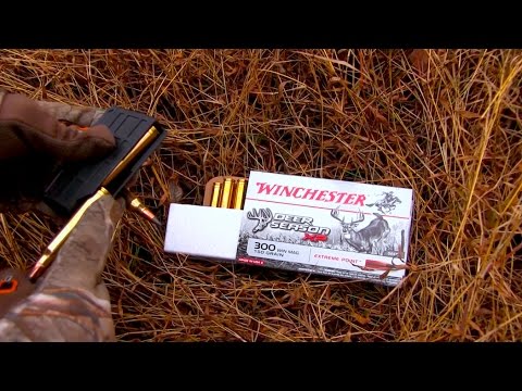BULLET PERFORMANCE ON DEER.