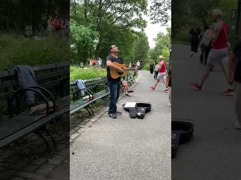 Music at the Park #centralparknyc #beatles #strawberryfieldsforever #nyc #music #random