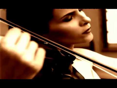 Codinome Beija Flor - Marina Lima