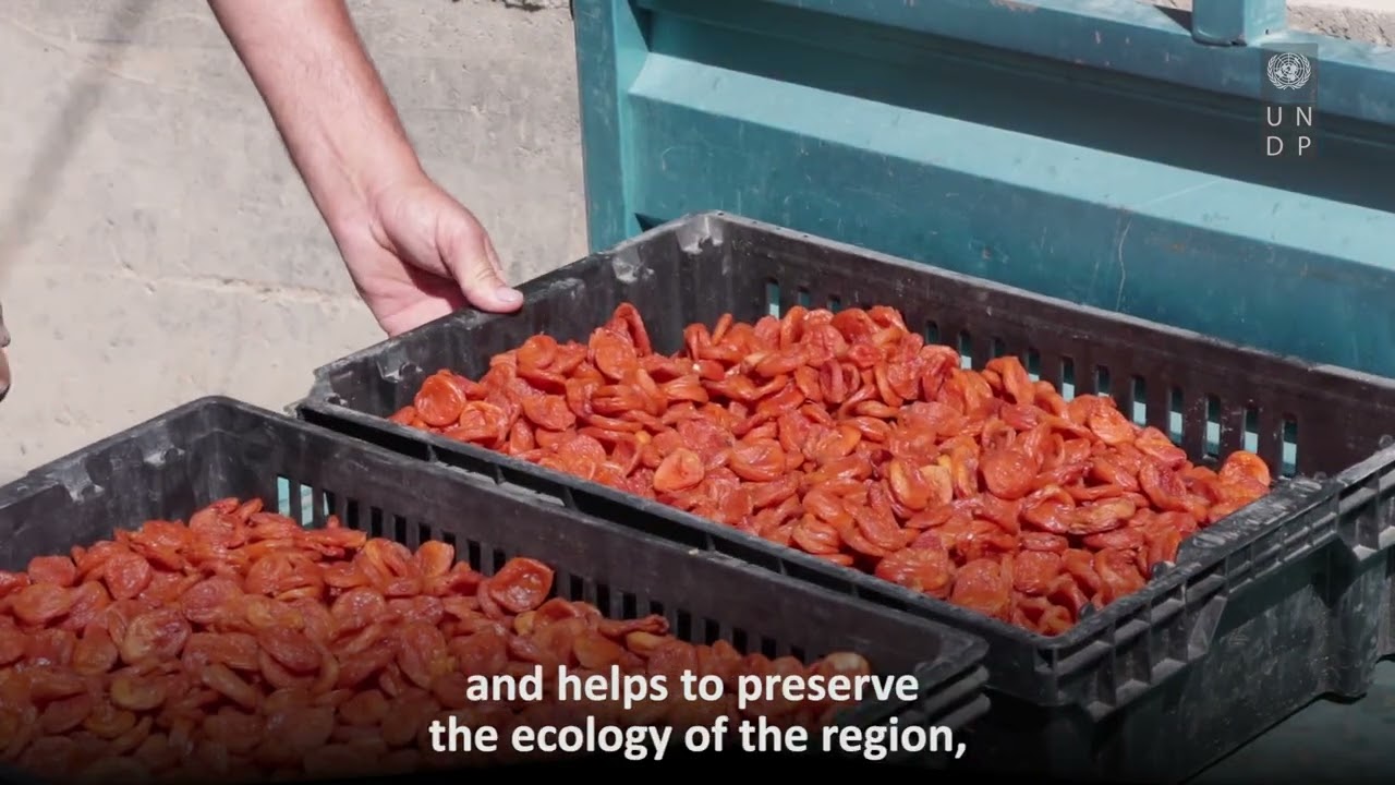 A new development model for the dried fruit, berry, and nut sector
