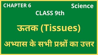 अभ्यास के प्रश्न-उत्तर class 9th science chapter 6 | ऊतक | ncert solutions class 9 science chapter 6